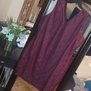 Stretchy Lace dress.